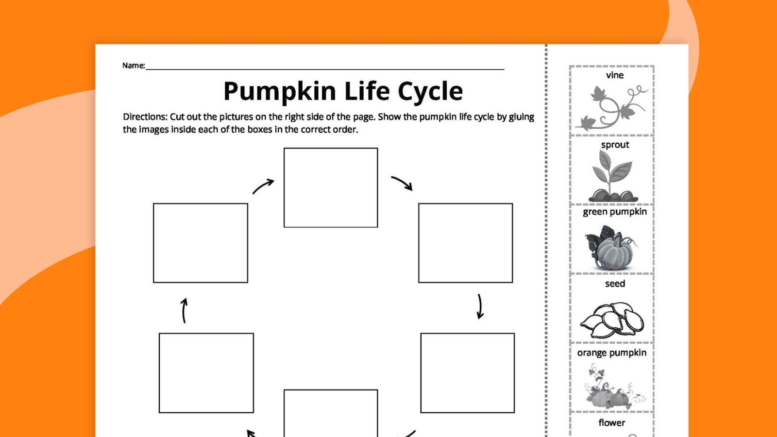 Pumpkin Life Cycle Worksheets For Kids Free Printables Pumpkin Life Cycle Worksheets Mamas Learning Corner