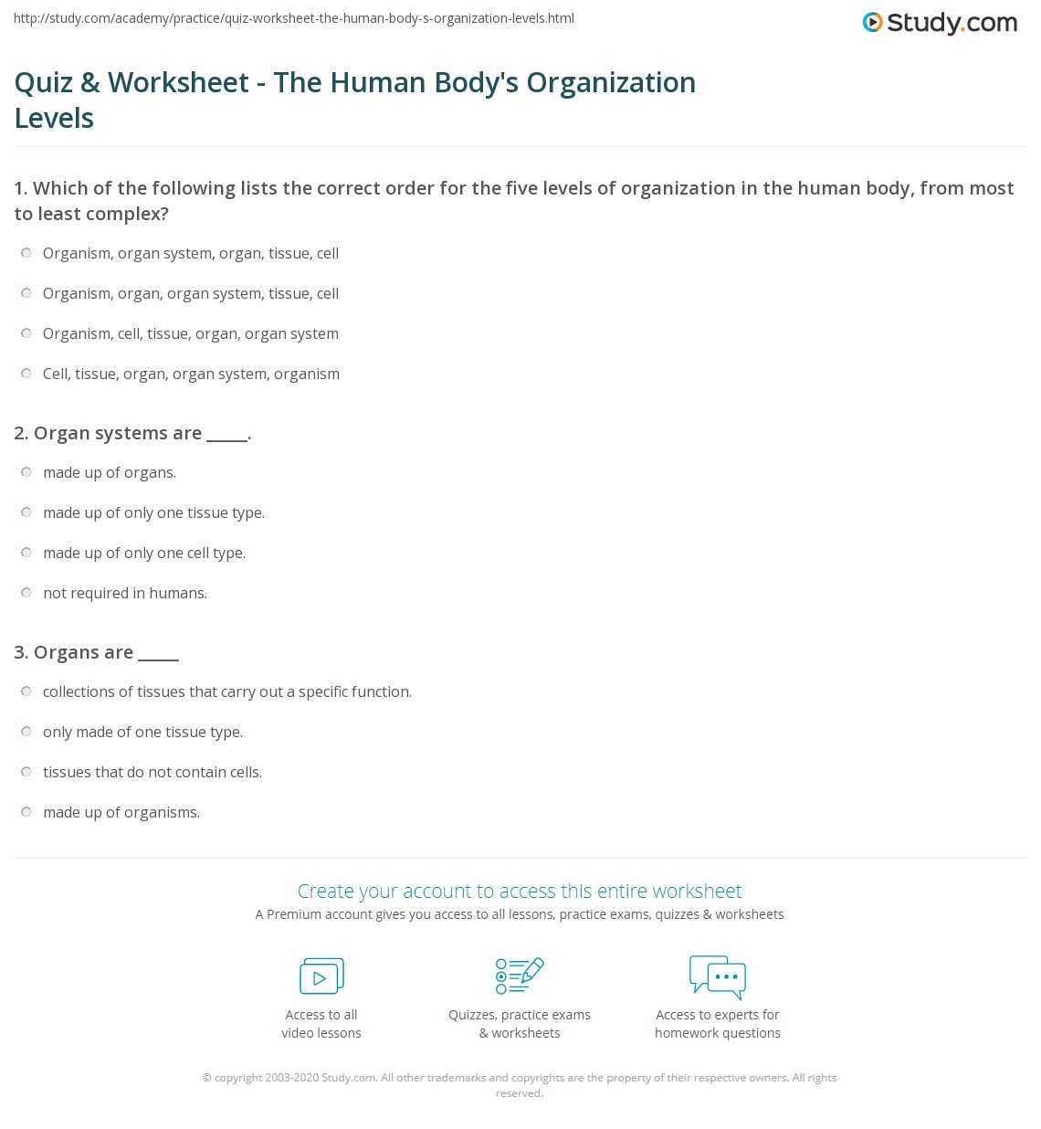Quiz Worksheet The Human Body S Organization Levels Study Quiz Worksheet The Human Body S Organization Levels Study