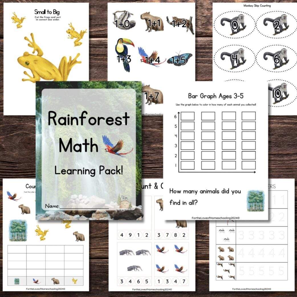 Rainforest Math Pack Etsy Rainforest Math Pack Etsy