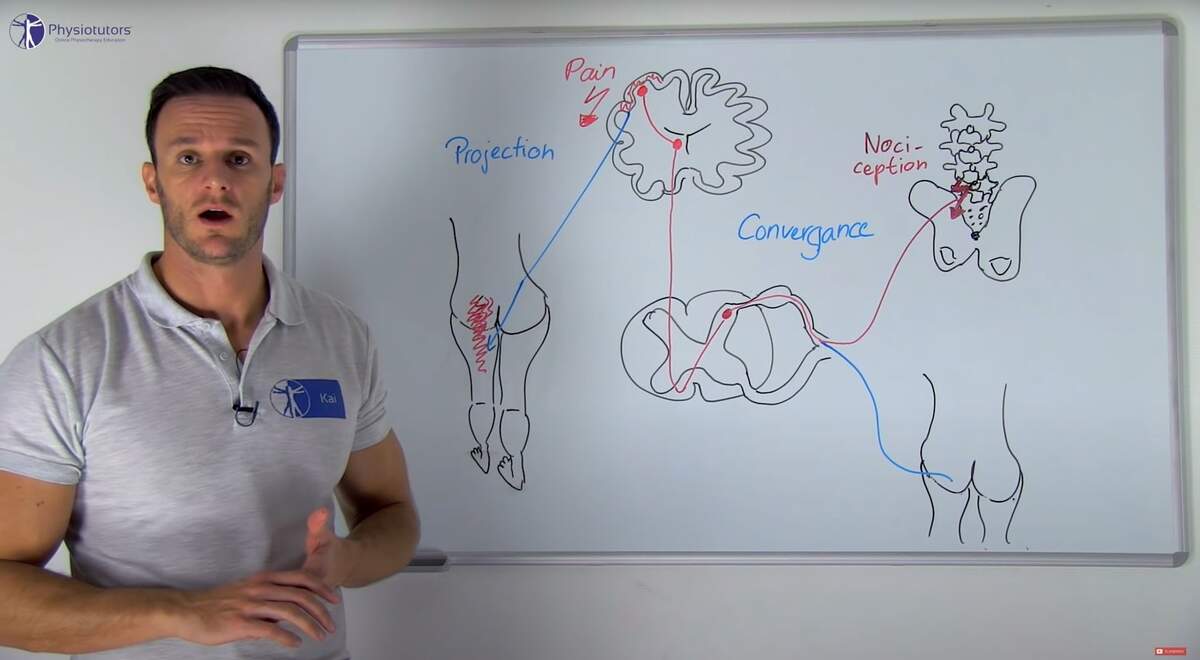 Referred Pain Explained Somatic Visceral Pain Neurophysiology