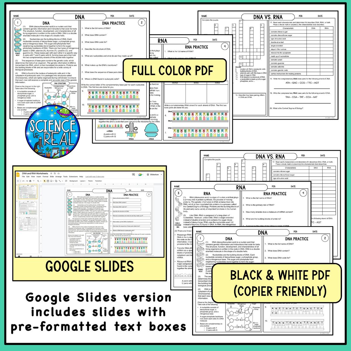 RNA And DNA Reading Comprehension And Worksheets Classful