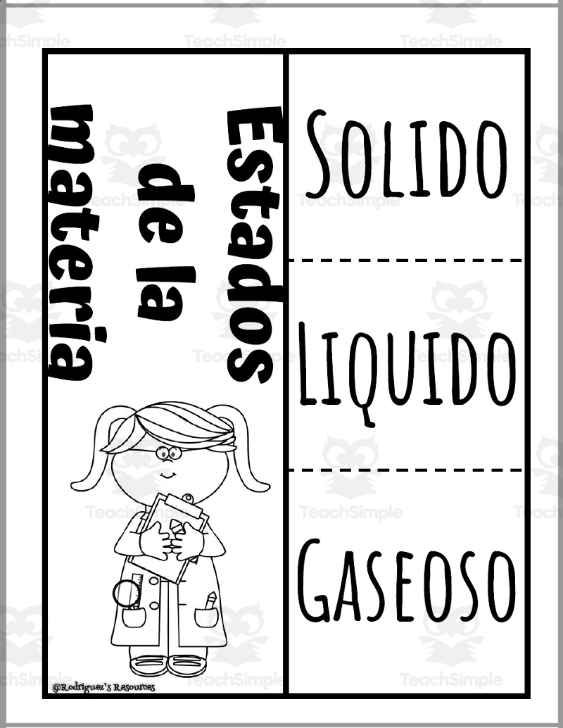 Science Matter Foldables Solid Liquid Gas Changes In Matter Spanish English By Teach Simple