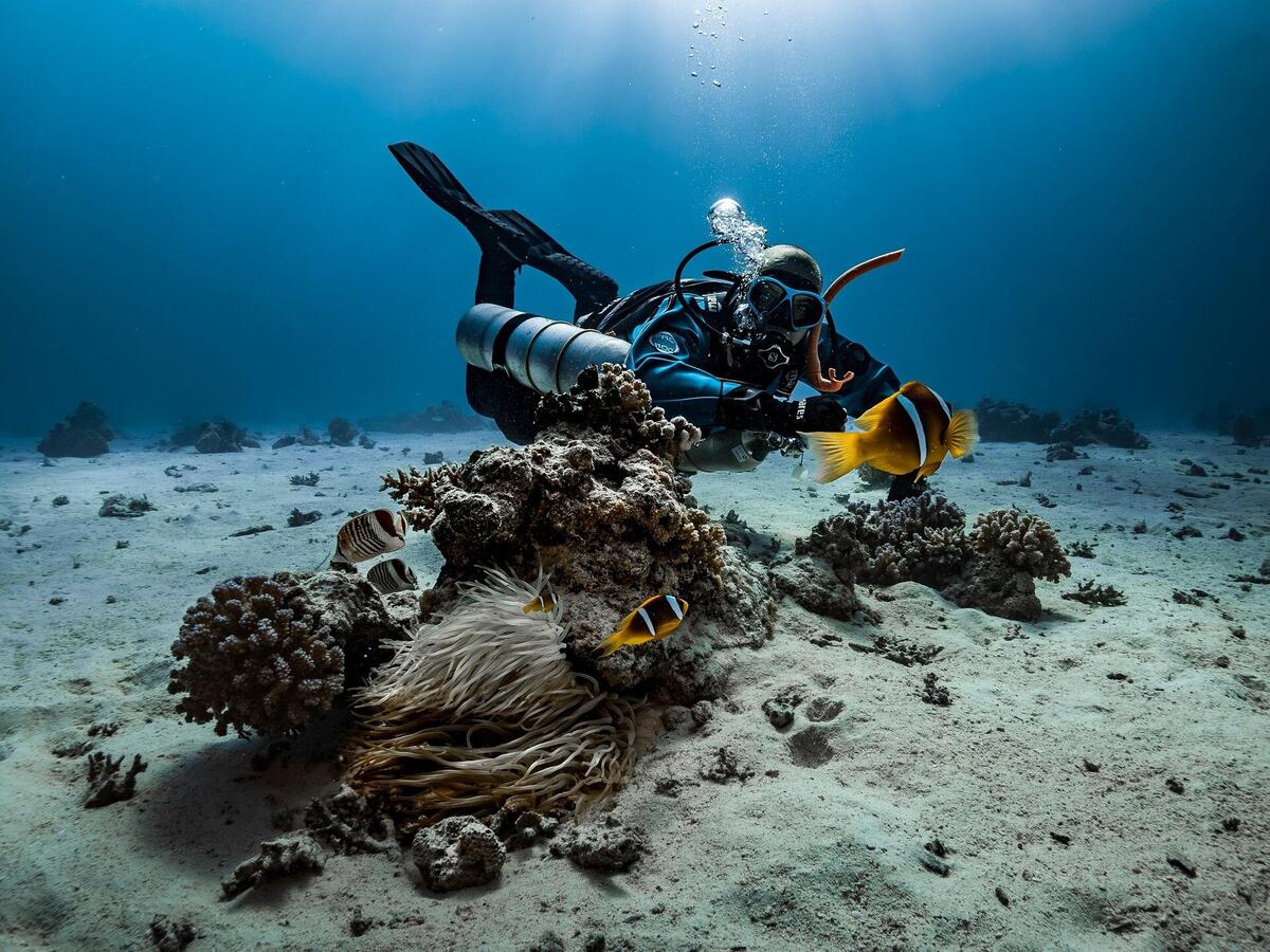 Scuba Diving Tourism Dollars Flow Into Ocean Protection And Local Communities Worldwide Scuba Diving Tourism Dollars Flow Into Ocean Protection And Local Communities Worldwide