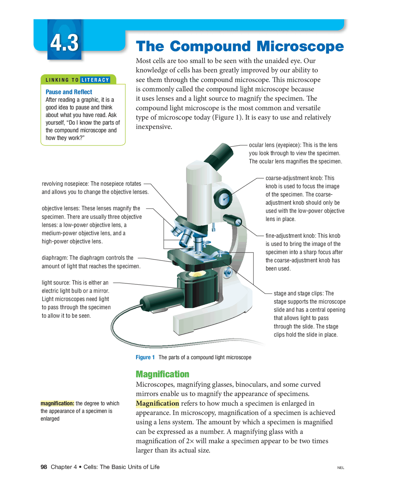 The Compound Microscope A Guide To Its Parts And Functions Exercises Biology Docsity