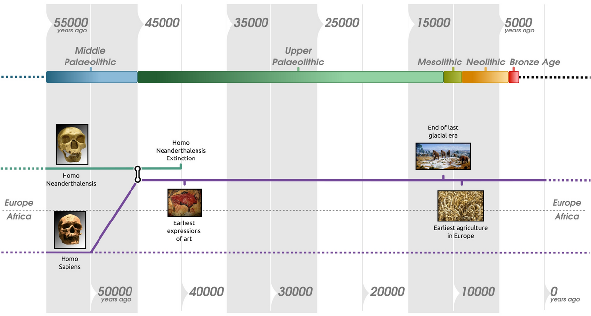 The Evolution Of Human Diet Since The Origin Of Genus Homo