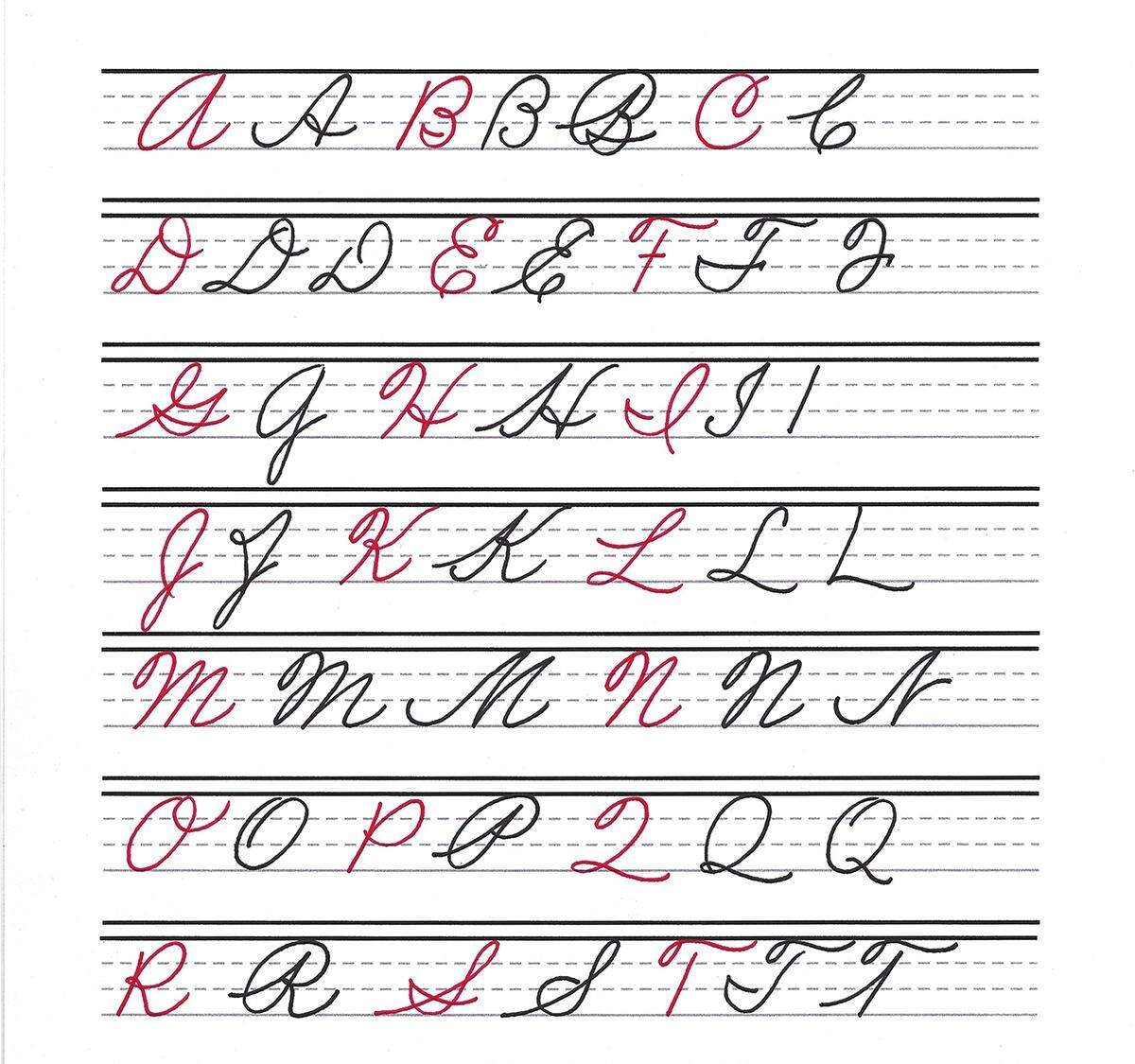 Hand Written Vector Alphabet Cursive Capital Stock Vector Royalty Free 1194280804 Shutterstock