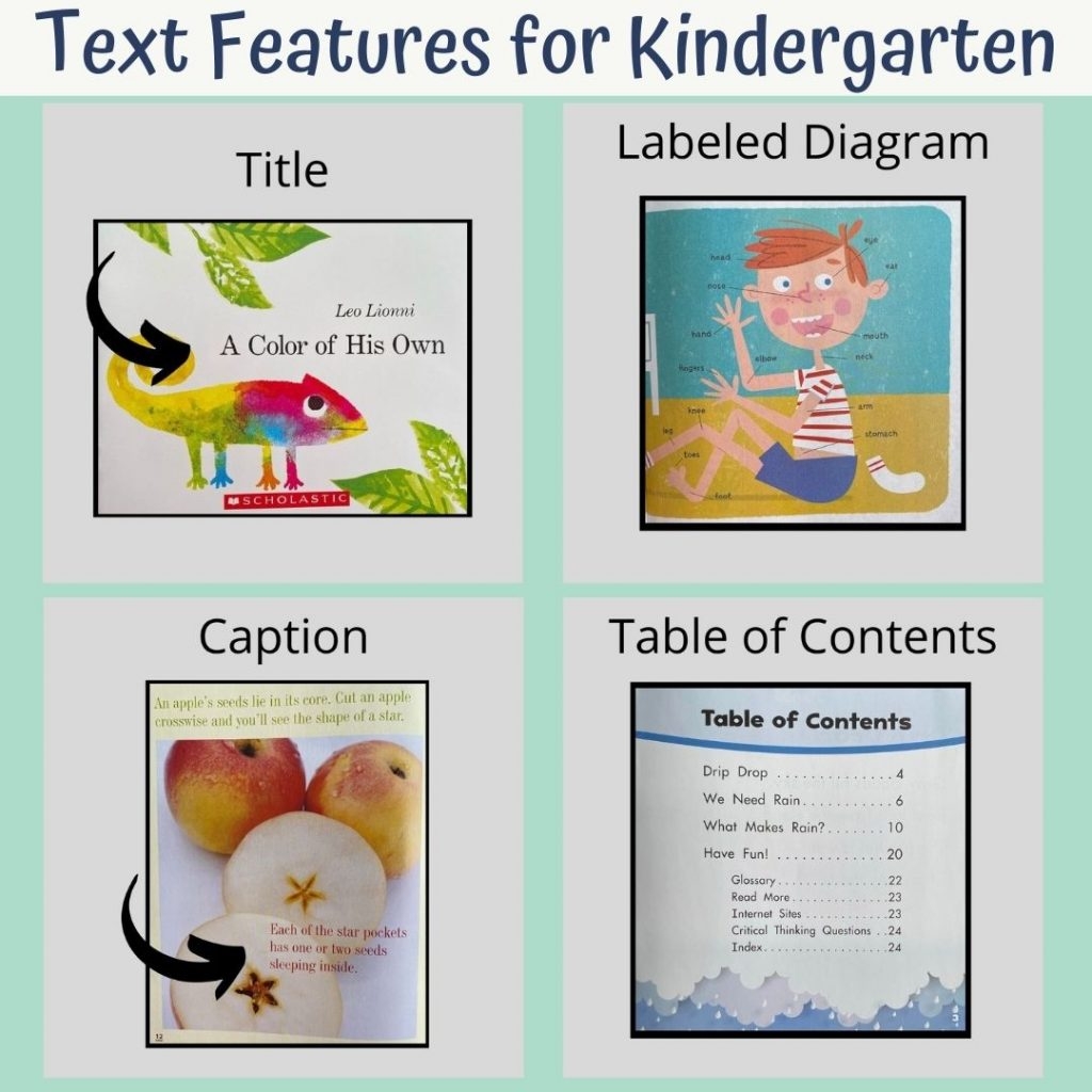 What Are Text Features How To Teach Them To Kids 4 Kinder Teachers What Are Text Features How To Teach Them To Kids 4 Kinder Teachers