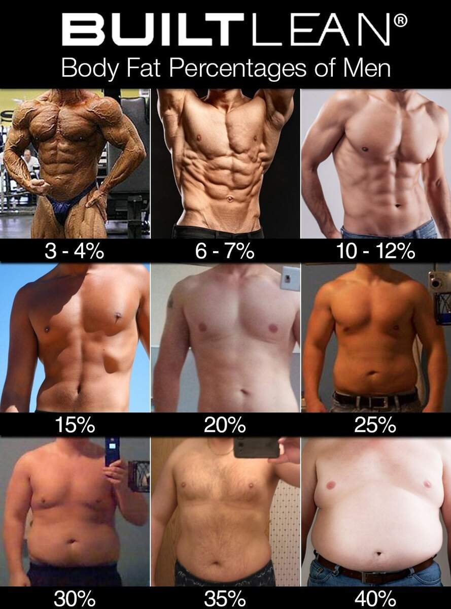 Printable Body Fat Percentage Charts Free Downloads